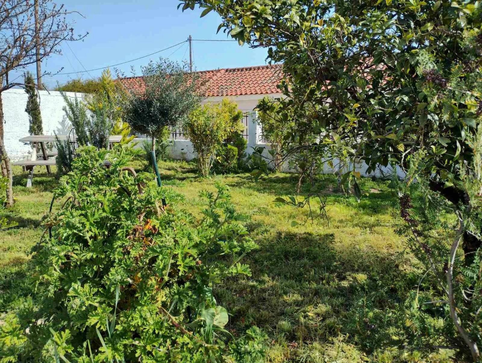 Nafplio Cottage-Grandma'S Yard Asíni Buitenkant foto